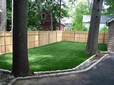 Artificial Grass Photos: Artificial Turf Cost Lockhart, Texas Lawn And Landscape, Small Backyard Ideas