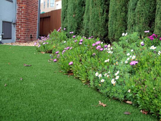 Artificial Grass Photos: Artificial Turf Cost Lolita, Texas Design Ideas, Front Yard Landscaping Ideas