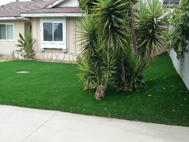 Artificial Grass Photos: Artificial Turf Cost Troy, Texas Design Ideas, Front Yard Landscaping