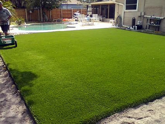 Artificial Grass Photos: Artificial Turf Installation Browndell, Texas Home And Garden, Pool Designs