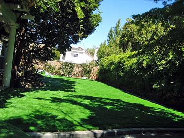 Artificial Grass Photos: Artificial Turf Katy, Texas Gardeners, Beautiful Backyards