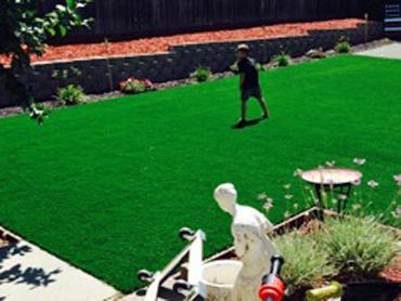 Artificial Grass Photos: Best Artificial Grass Bronson, Texas Landscape Design, Backyard Garden Ideas