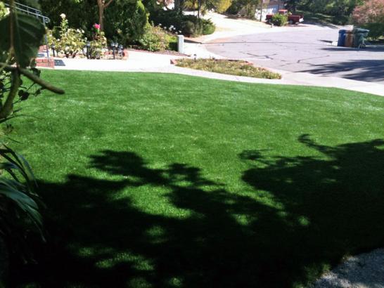 Artificial Grass Photos: Best Artificial Grass Seabrook, Texas Landscape Photos, Front Yard Design