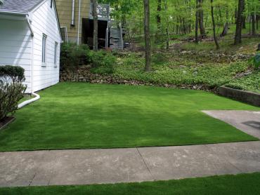 Artificial Grass Photos: Best Artificial Grass West Orange, Texas Landscaping, Front Yard Landscape Ideas