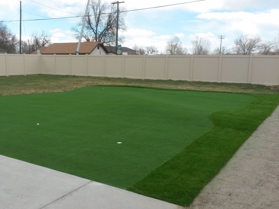 Artificial Grass Photos: Fake Grass Carpet Hemphill, Texas Home Putting Green, Backyard Garden Ideas