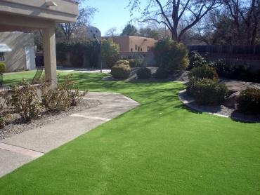 Artificial Grass Photos: Fake Grass Carpet League City, Texas Lawn And Garden, Front Yard Landscape Ideas