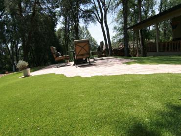 Artificial Grass Photos: Fake Grass Carpet Louise, Texas Landscape Design, Backyard Landscaping