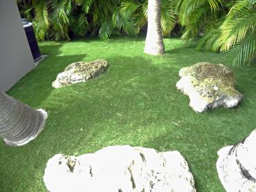 Artificial Grass Photos: Fake Grass Carpet Webster, Texas Paver Patio, Backyard Garden Ideas
