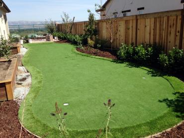 Artificial Grass Photos: Fake Grass Fairfield, Texas Outdoor Putting Green, Backyard Design
