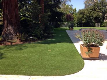 Artificial Grass Photos: Fake Grass Millican, Texas Cat Playground, Small Front Yard Landscaping