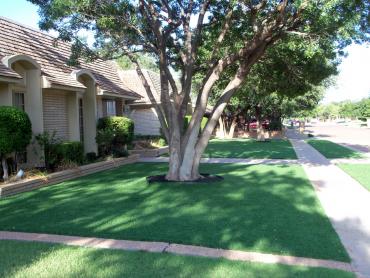 Artificial Grass Photos: Fake Grass Vidor, Texas Landscape Ideas, Front Yard