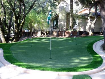 Artificial Grass Photos: Fake Lawn Doyle, Texas Best Indoor Putting Green, Backyard Designs