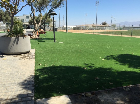 Artificial Grass Photos: Fake Lawn San Leanna, Texas Landscape Ideas, Recreational Areas