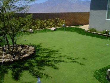 Artificial Grass Photos: Fake Lawn Seadrift, Texas Home And Garden, Backyards