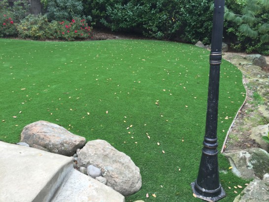 Artificial Grass Photos: Fake Turf Chireno, Texas Lawn And Garden, Backyard Ideas