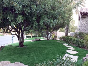 Artificial Grass Photos: Fake Turf Diboll, Texas Design Ideas, Landscaping Ideas For Front Yard