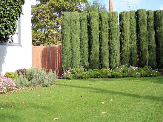 Artificial Grass Photos: Fake Turf Ganado, Texas Garden Ideas, Front Yard Landscaping Ideas