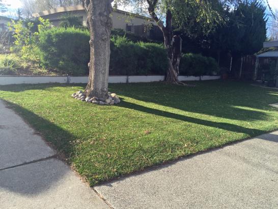 Artificial Grass Photos: Fake Turf Hudson, Texas Landscaping, Front Yard Landscaping Ideas