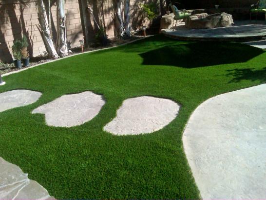 Artificial Grass Photos: Fake Turf Kountze, Texas City Landscape, Small Backyard Ideas