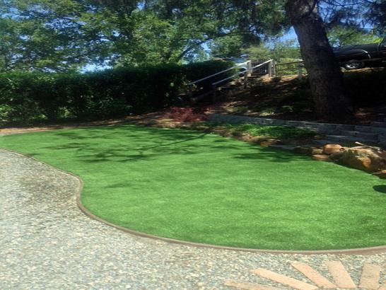Artificial Grass Photos: Fake Turf Magnolia, Texas Landscape Design, Backyard Designs