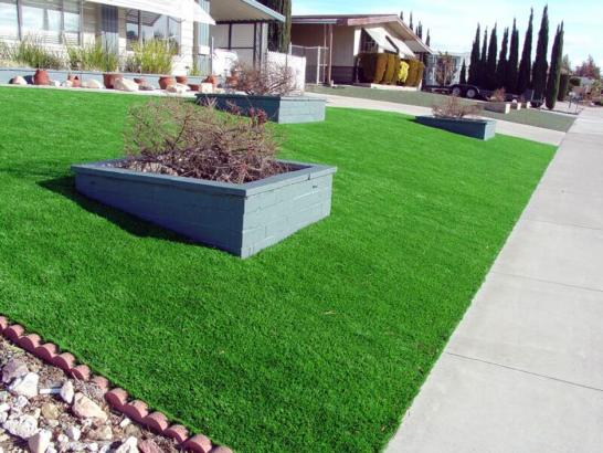 Artificial Grass Photos: Grass Carpet Crockett, Texas Garden Ideas, Front Yard Design