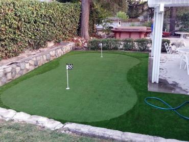 Artificial Grass Photos: Grass Carpet Pasadena, Texas Home Putting Green, Backyard Garden Ideas