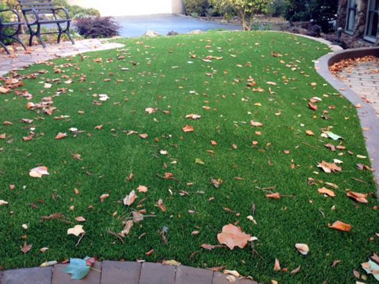 Artificial Grass Photos: Grass Carpet San Felipe, Texas City Landscape, Front Yard Landscaping Ideas