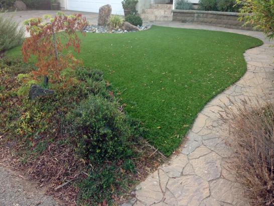 Artificial Grass Photos: Grass Turf Markham, Texas Dog Pound, Small Backyard Ideas