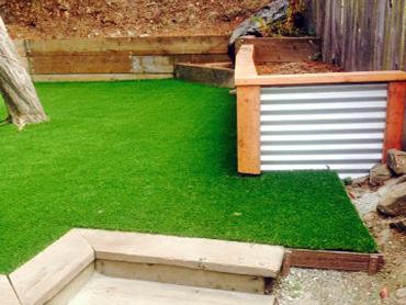 Artificial Grass Photos: Green Lawn Mustang Ridge, Texas Backyard Deck Ideas, Backyard Design