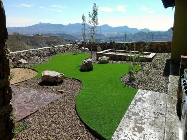 Artificial Grass Photos: Green Lawn Newton, Texas Design Ideas, Backyard