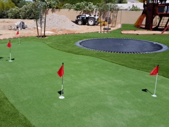 Artificial Grass Photos: Green Lawn Rollingwood, Texas Indoor Putting Green, Backyard Garden Ideas