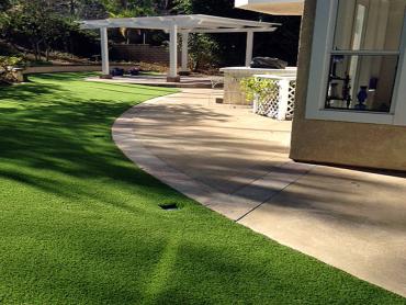 Artificial Grass Photos: Green Lawn Shepherd, Texas Home And Garden, Front Yard Design