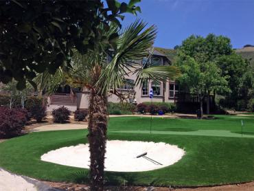 Artificial Grass Photos: How To Install Artificial Grass Seabrook, Texas City Landscape, Small Front Yard Landscaping