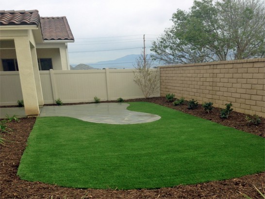 Artificial Grass Photos: Lawn Services Broaddus, Texas Backyard Deck Ideas, Backyard Ideas
