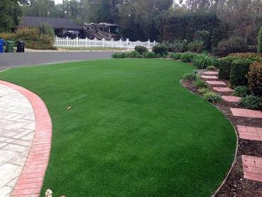 Artificial Grass Photos: Lawn Services Caldwell, Texas Rooftop, Front Yard Ideas