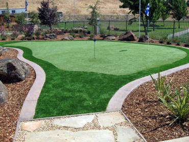 Artificial Grass Photos: Lawn Services Palestine, Texas Roof Top, Backyard Landscaping Ideas