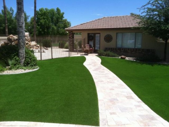 Artificial Grass Photos: Lawn Services Windemere, Texas Garden Ideas, Front Yard Design