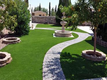 Artificial Grass Photos: Outdoor Carpet Bloomington, Texas Landscape Ideas, Backyard Landscape Ideas