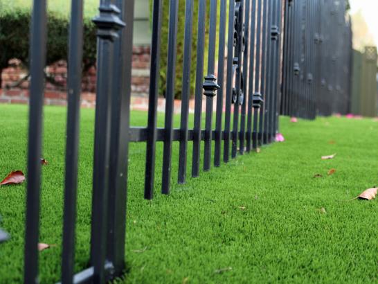 Artificial Grass Photos: Outdoor Carpet Diboll, Texas Lawn And Garden, Landscaping Ideas For Front Yard
