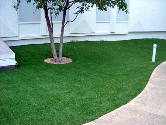 Artificial Grass Photos: Outdoor Carpet Katy, Texas Landscaping, Commercial Landscape