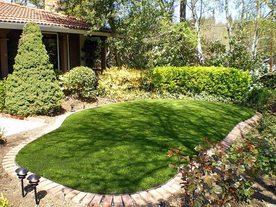 Artificial Grass Photos: Outdoor Carpet Madisonville, Texas City Landscape, Backyard Design