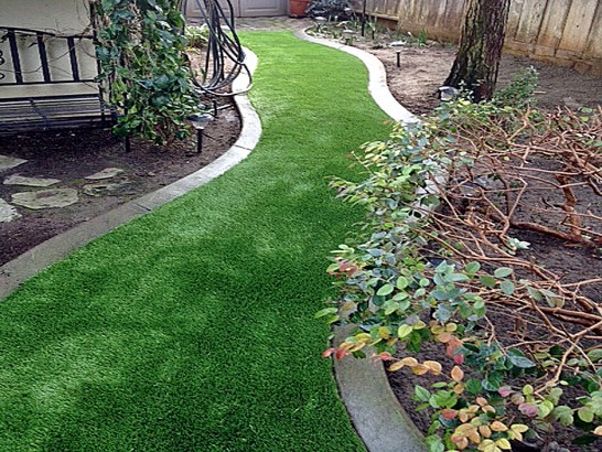 Artificial Grass Photos: Outdoor Carpet McDade, Texas Home And Garden, Backyard Landscaping Ideas