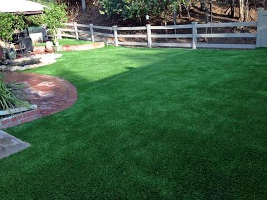 Artificial Grass Photos: Outdoor Carpet Navasota, Texas Lawns, Backyard Makeover