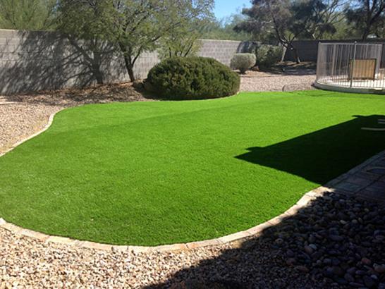 Artificial Grass Photos: Outdoor Carpet Santa Fe, Texas Lawns, Backyard Landscaping