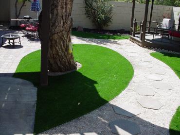 Artificial Grass Photos: Outdoor Carpet Wixon Valley, Texas Gardeners, Small Backyard Ideas
