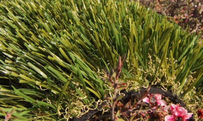 Double S-61 syntheticgrass Artificial Grass Houston, Texas