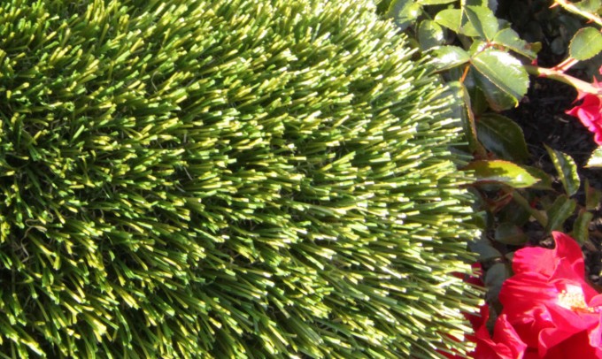 V Blade-64 syntheticgrass Artificial Grass Houston, Texas