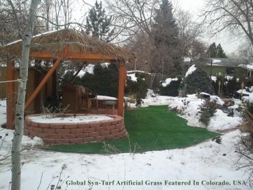 Artificial Grass Photos: Plastic Grass Jersey Village, Texas Garden Ideas, Backyard Ideas