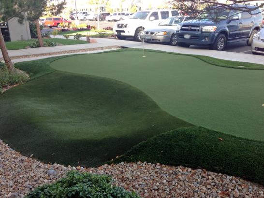 Artificial Grass Photos: Plastic Grass Tomball, Texas Indoor Putting Green, Commercial Landscape