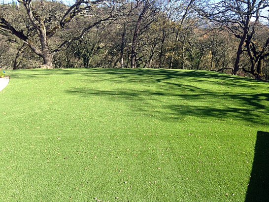 Artificial Grass Photos: Plastic Grass Victoria, Texas Home And Garden, Parks